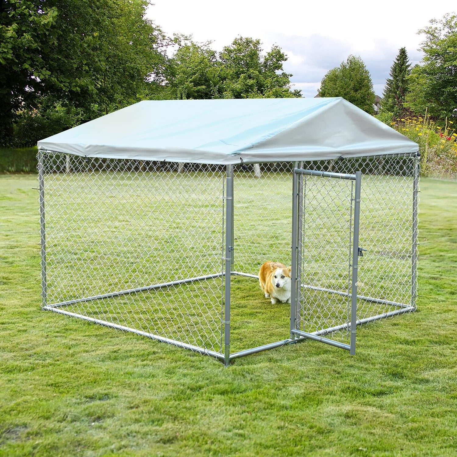 Dog Kennels